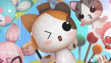 Funny Animal Cafe