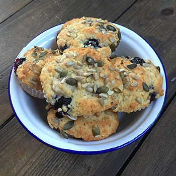 Gluten Free Blueberry Muffins Recipe