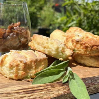 Heavenly Gluten-Free Cheese Scones Recipe