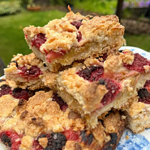 gluten free rhubarb and raspberry crumble bars close
