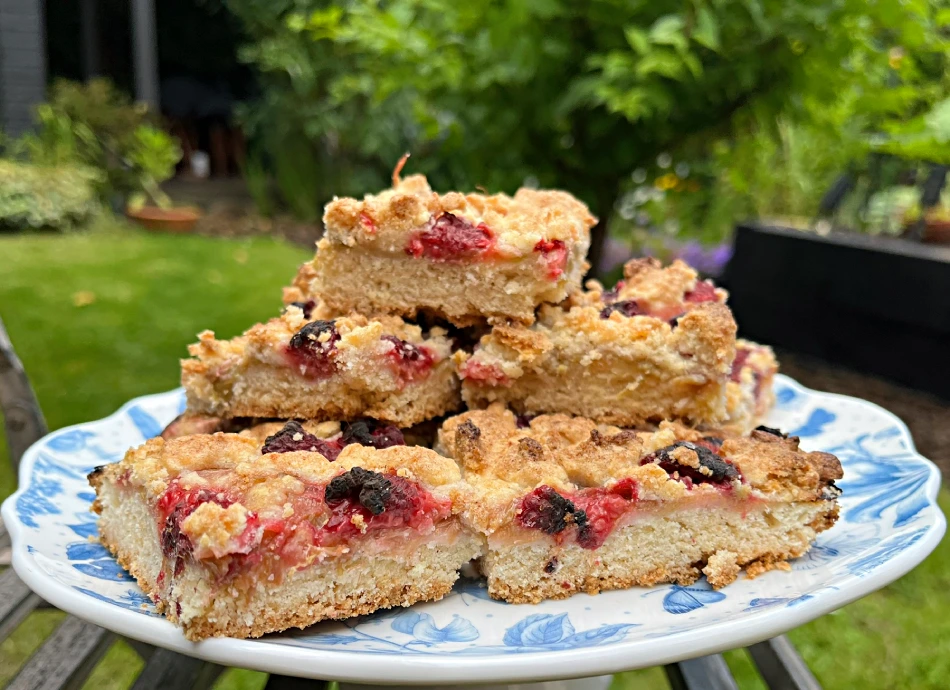 gluten free rhubarb and raspberry crumble bars side