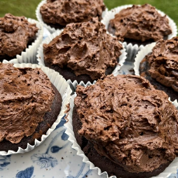 Best-Ever Gluten-Free Chocolate Cupcakes Recipe
