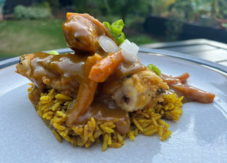 gluten-free katsu curry on plate