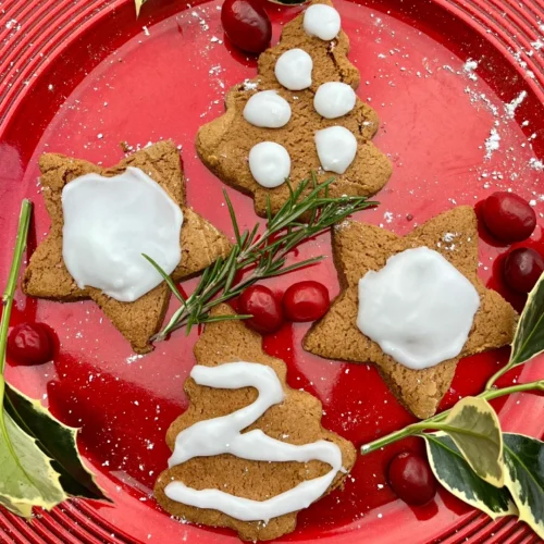 gluten free gingerbread zoomed