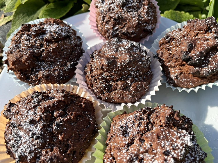 gluten free chocolate chip muffins