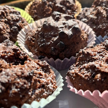 Supreme Gluten-Free Chocolate Chip Muffins