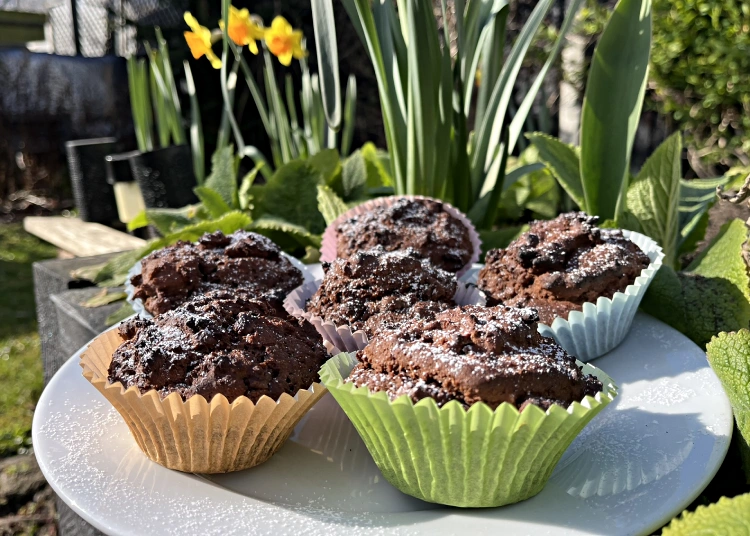 gluten free chocolate chip muffins