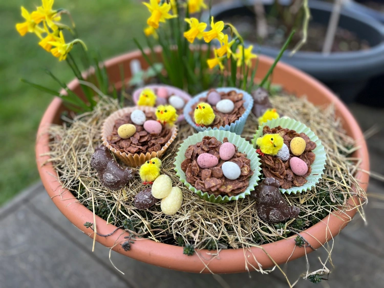 gluten free mini egg nests