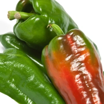 Why You Should Use Hatch Green Chile in Your Recipes