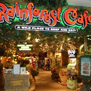 The Ultimate Rainforest Cafe Gluten-Free Menu Guide 2025