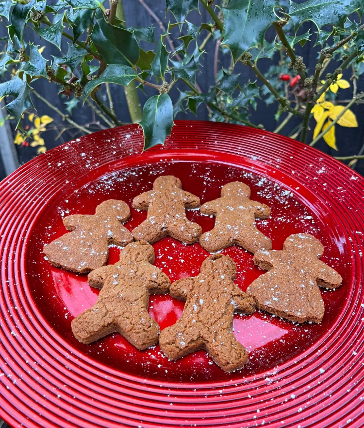 gluten free gingerbread on red plate