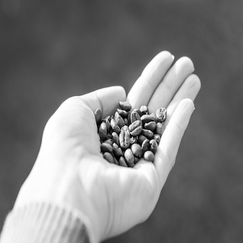 Cross-contamination Standards and Pure Ingredients Have Become Mandatory in Commercial Allergen-free Production – Here is Why